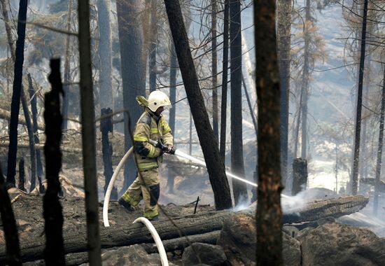 Пожар в Гоначхирском ущелье в Карачаево-Черкесии