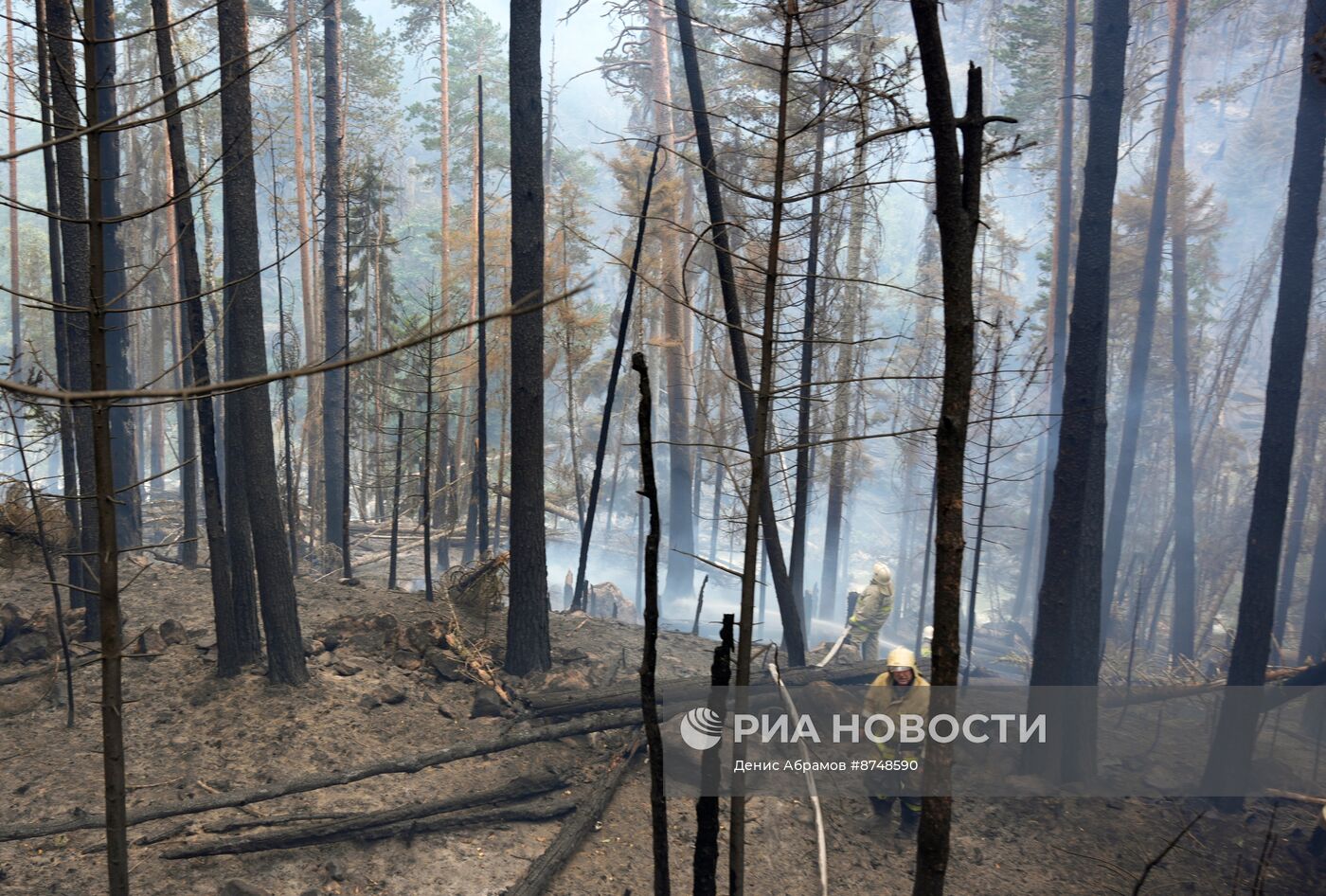 Пожар в Гоначхирском ущелье в Карачаево-Черкесии