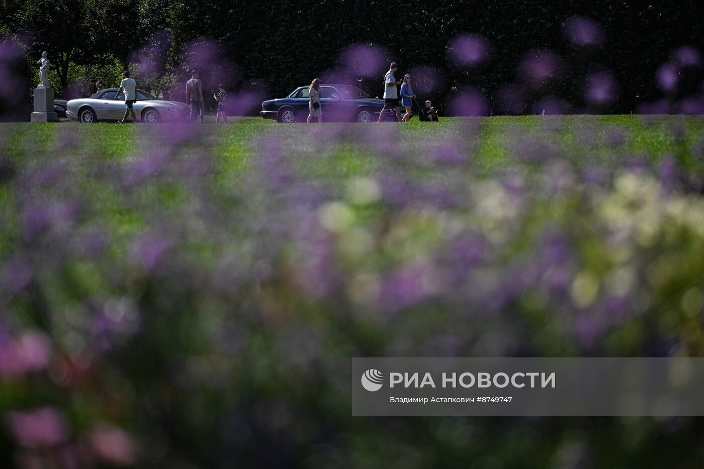 Автовыходные в Архангельском