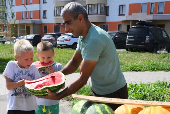 Города России. Курчатов