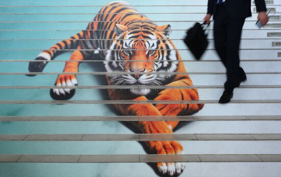 ВЭФ-2024. Работа форума