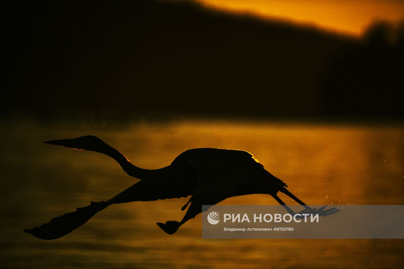 Закат во Владивостоке