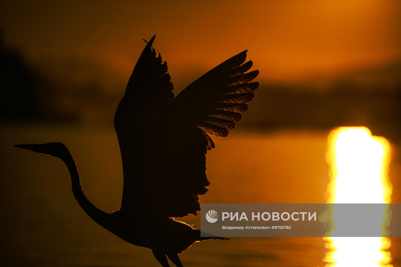 Закат во Владивостоке