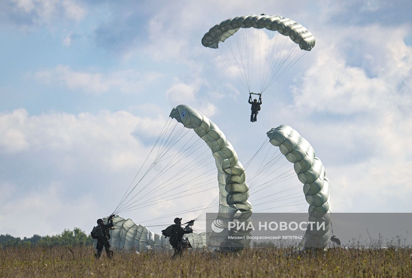 Занятия по десантированию спецназа Росгвардии в Подмосковье