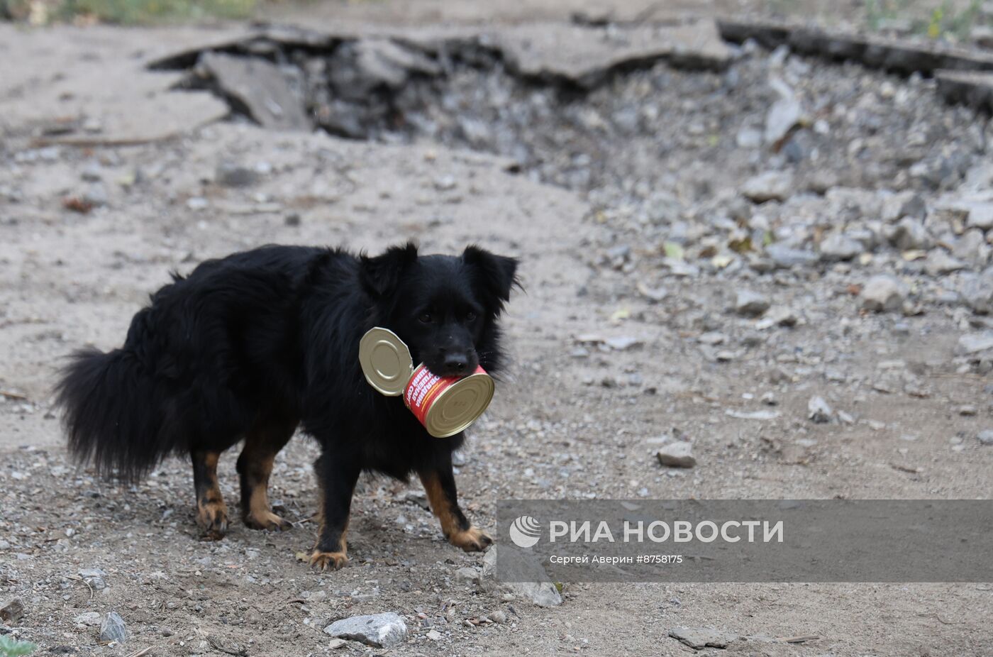 Освобожденная Красногоровка в ДНР