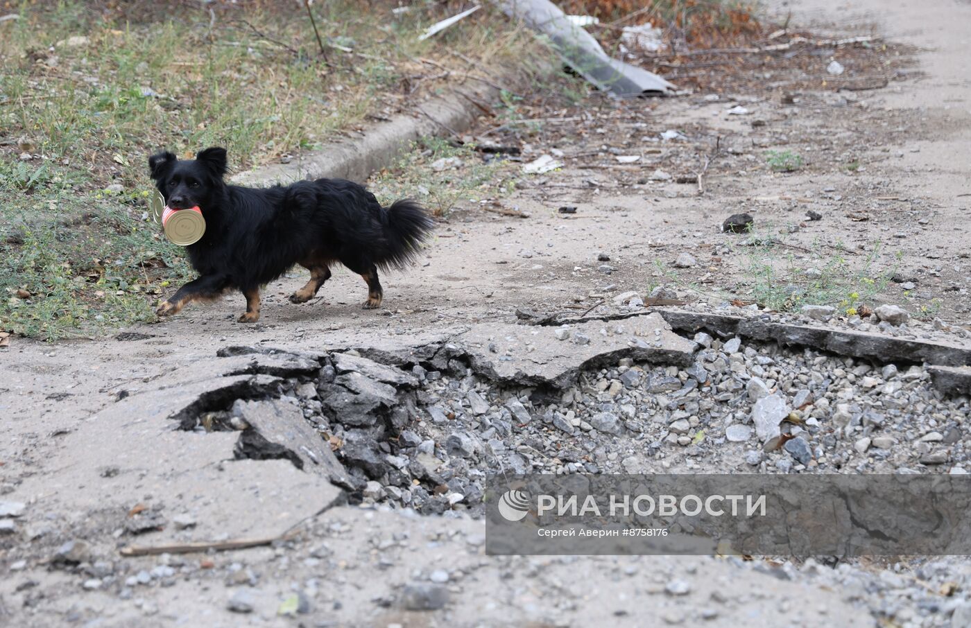 Освобожденная Красногоровка в ДНР