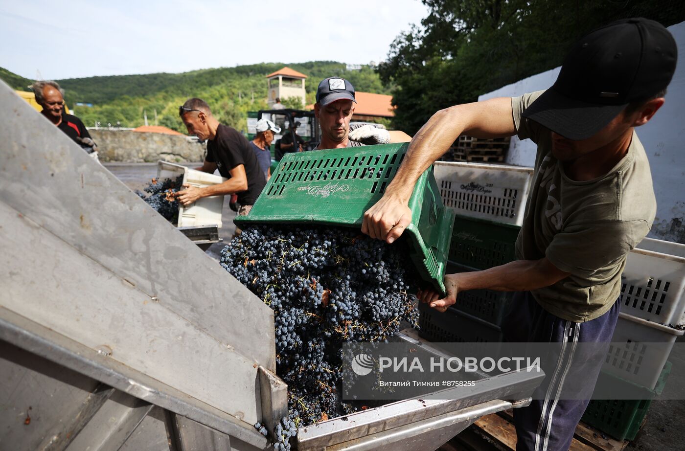 Производство игристых вин в Краснодарском крае