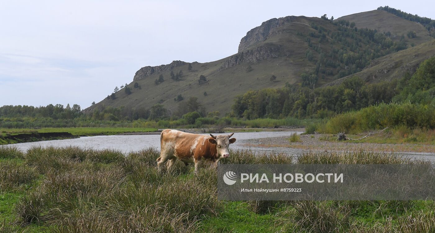 Регионы России. Хакасия