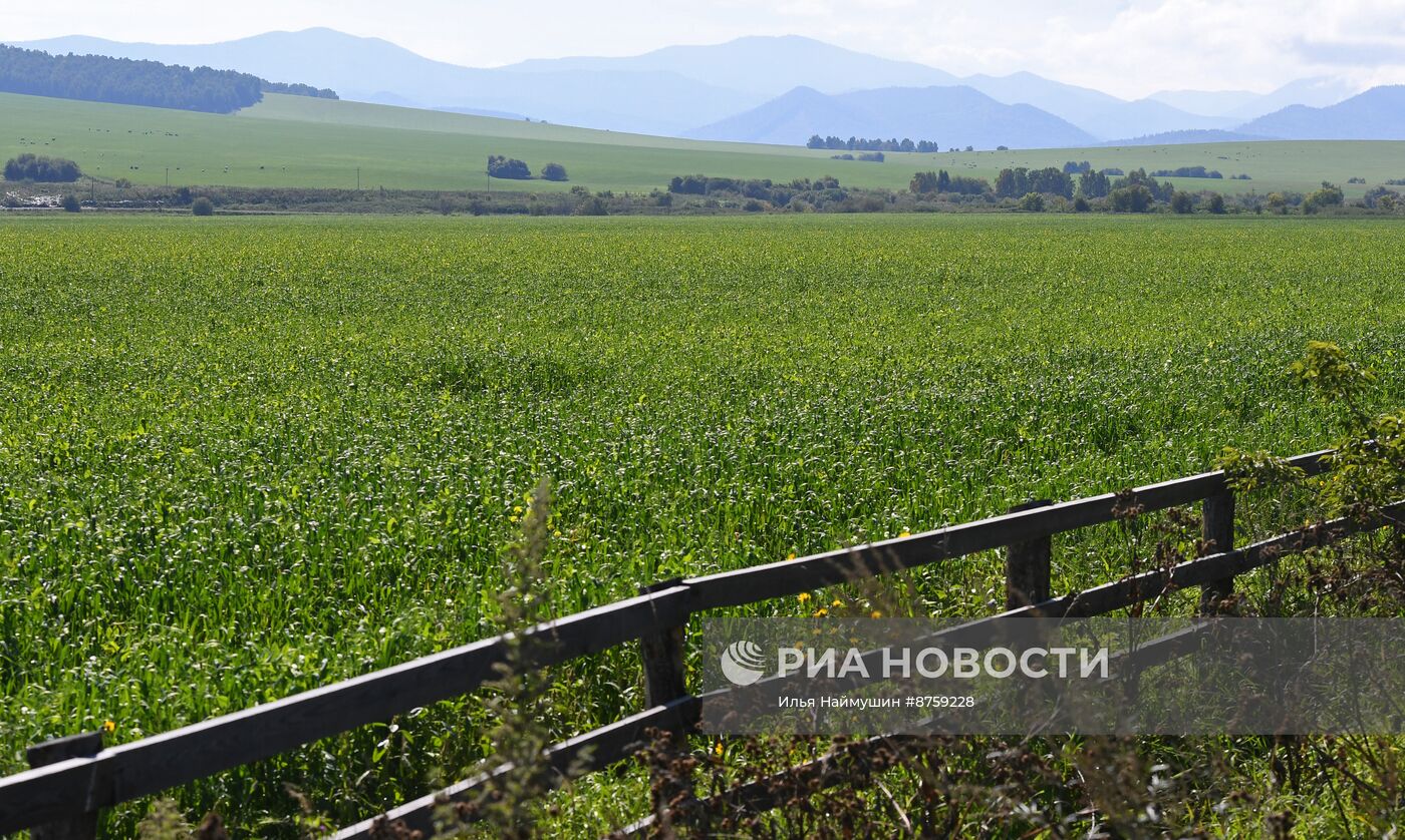 Регионы России. Хакасия