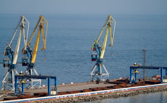Мариупольский морской торговый порт