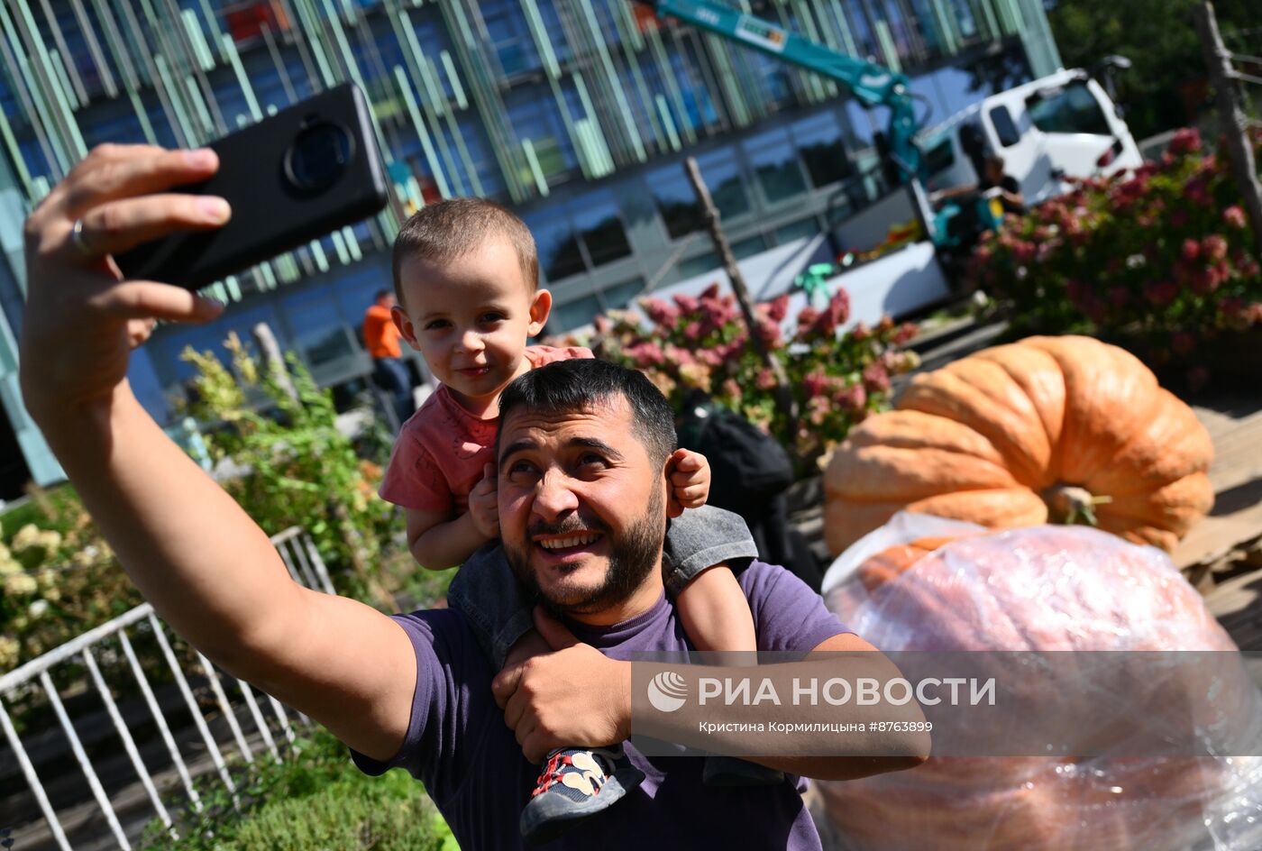 Выставка громадных тыкв России в Ботаническом саду МГУ "Аптекарский огород"