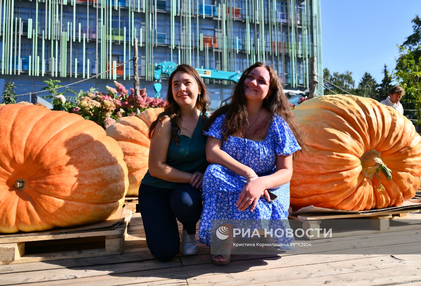 Выставка громадных тыкв России в Ботаническом саду МГУ "Аптекарский огород"