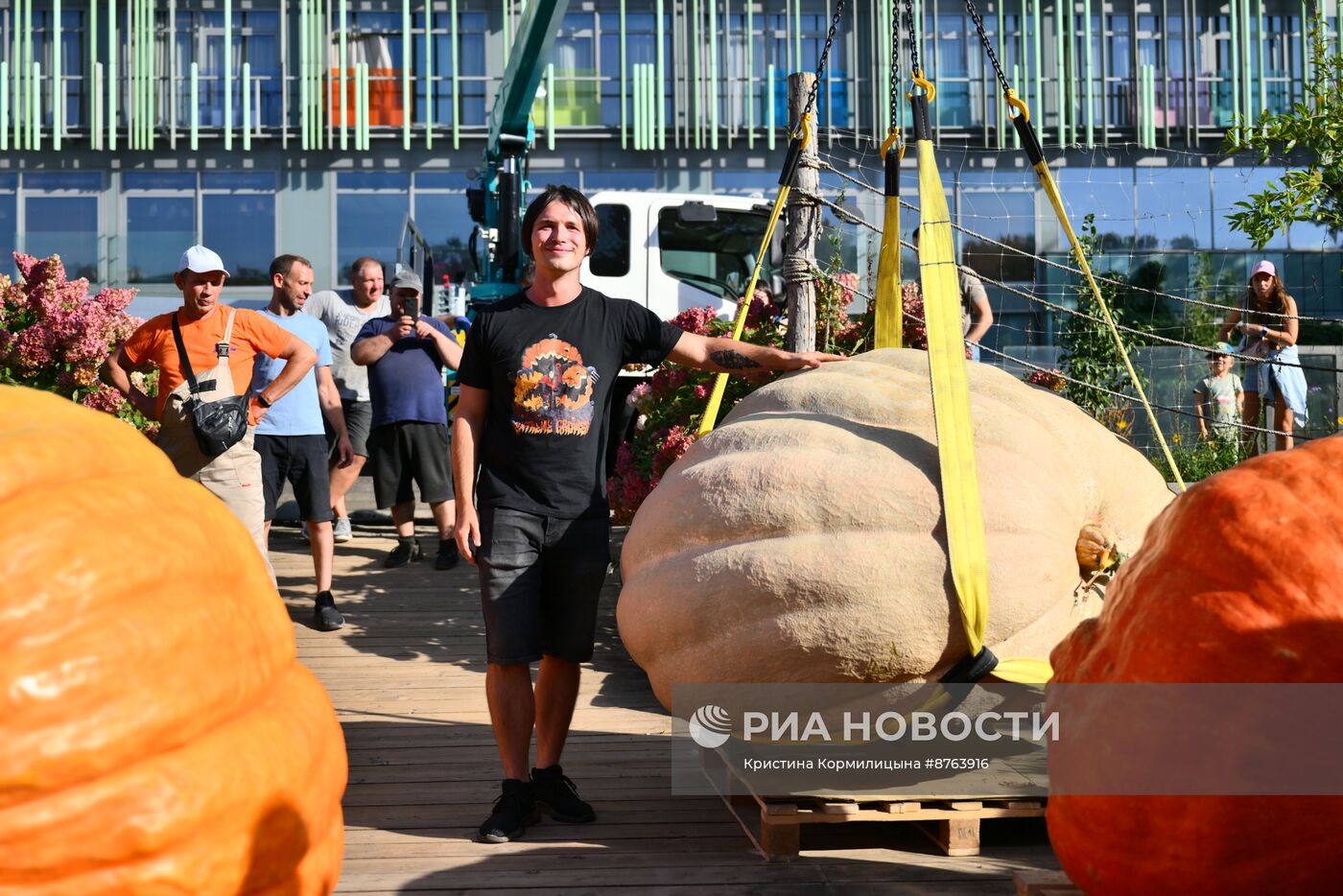 Выставка громадных тыкв России в Ботаническом саду МГУ "Аптекарский огород"
