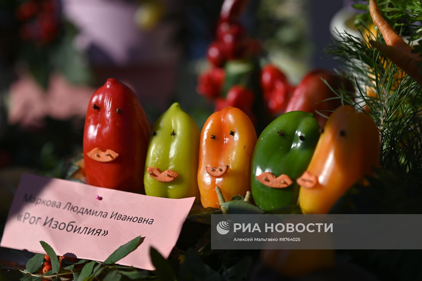 Выставка "Дары осени" в Омске