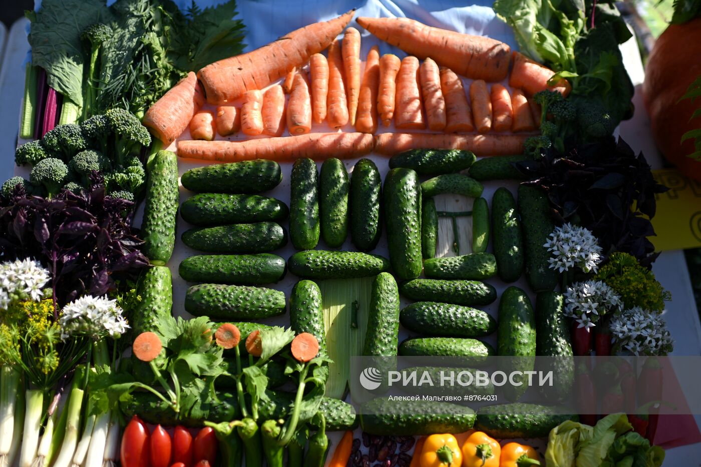 Выставка "Дары осени" в Омске