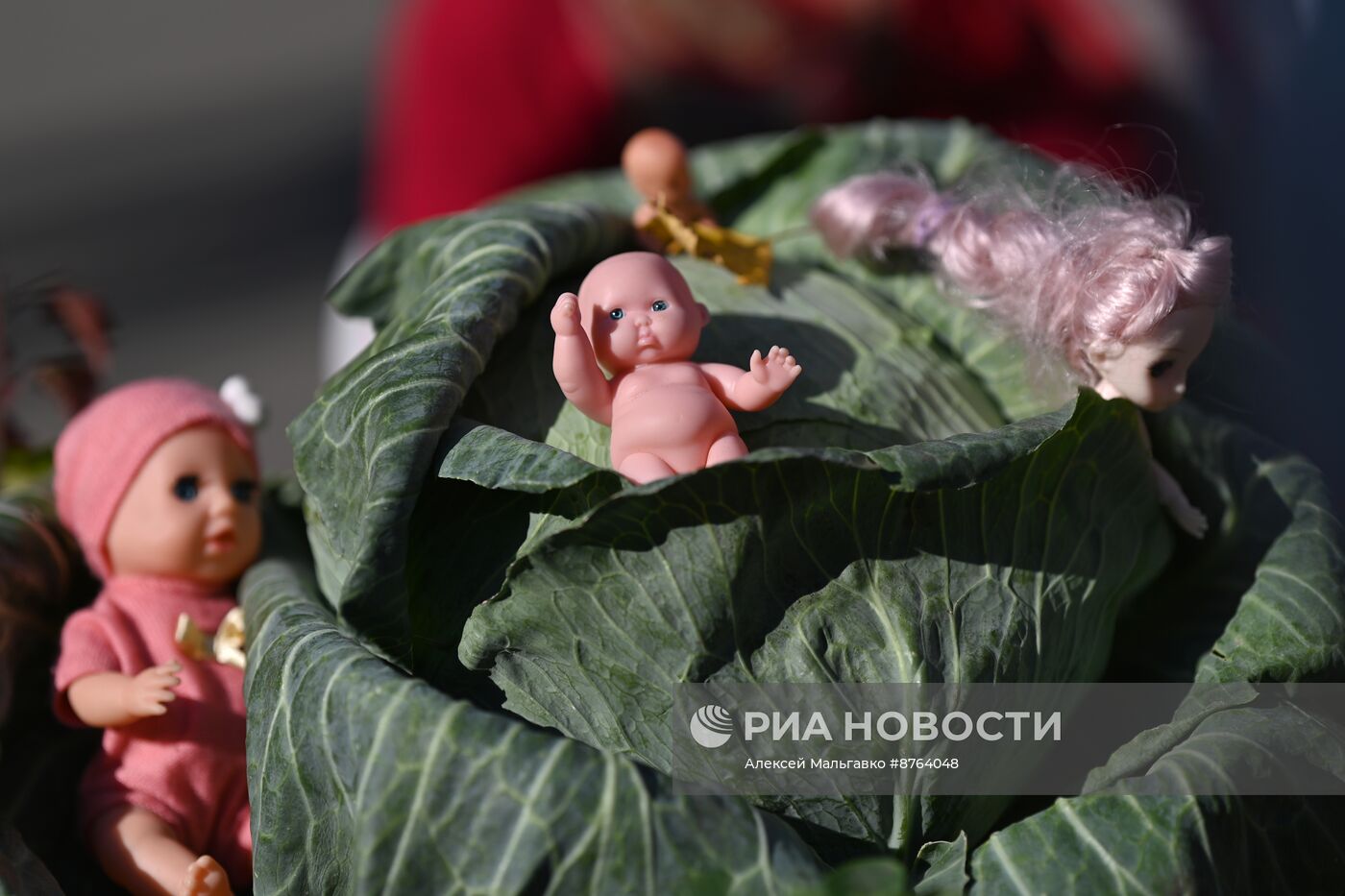 Выставка "Дары осени" в Омске