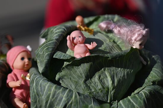 Выставка "Дары осени" в Омске