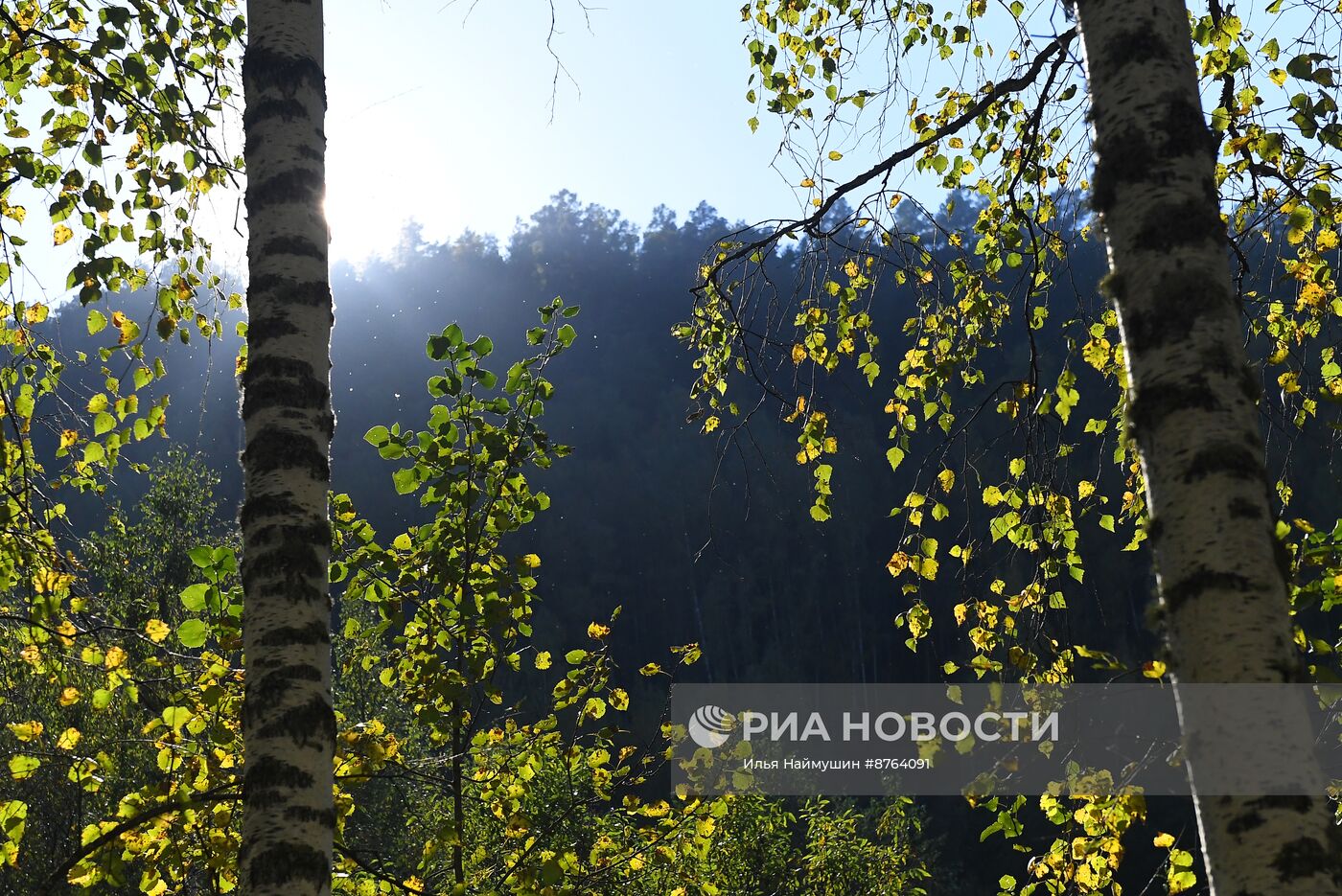 Осень в Сибири