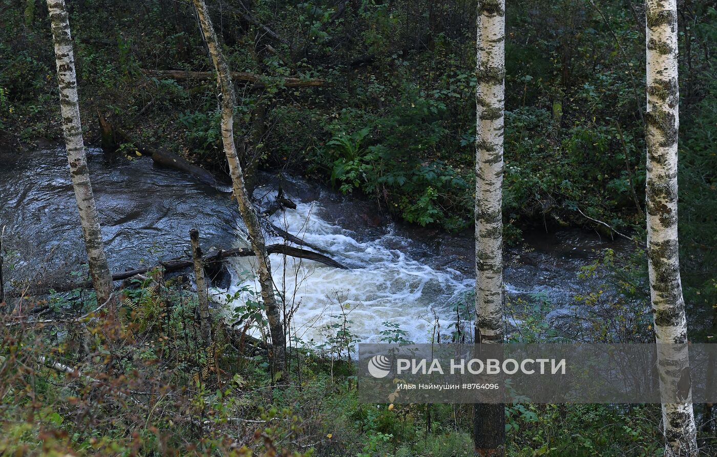 Осень в Сибири