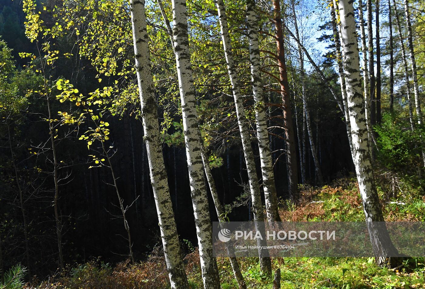 Осень в Сибири