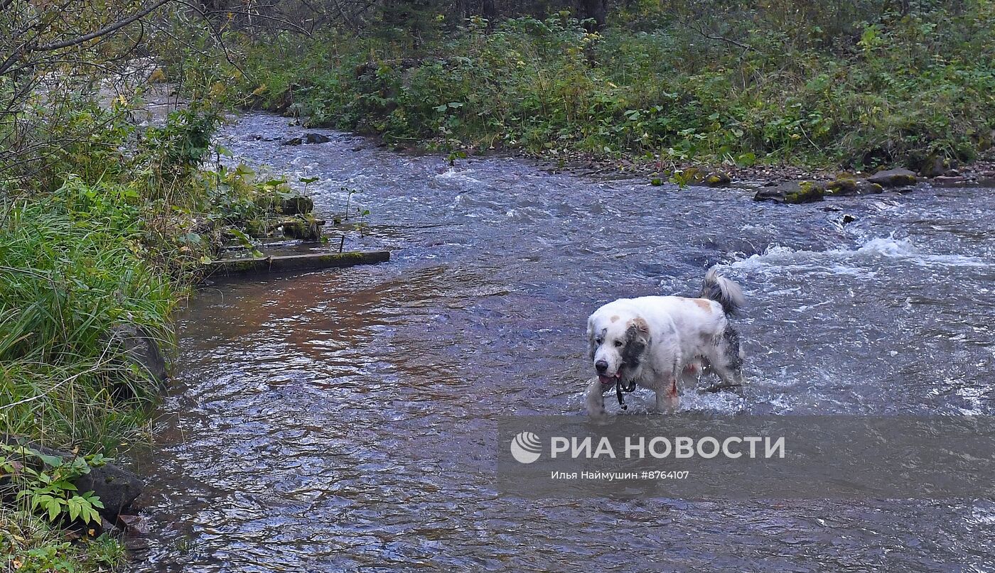 Осень в Сибири