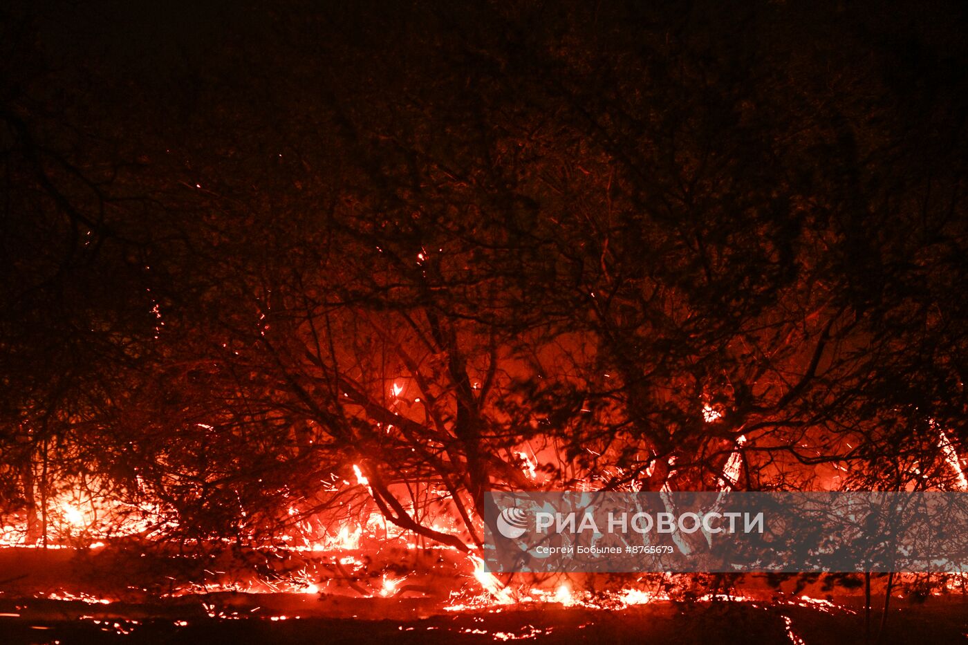 Масштабный пожар охватил несколько сел в ЛНР