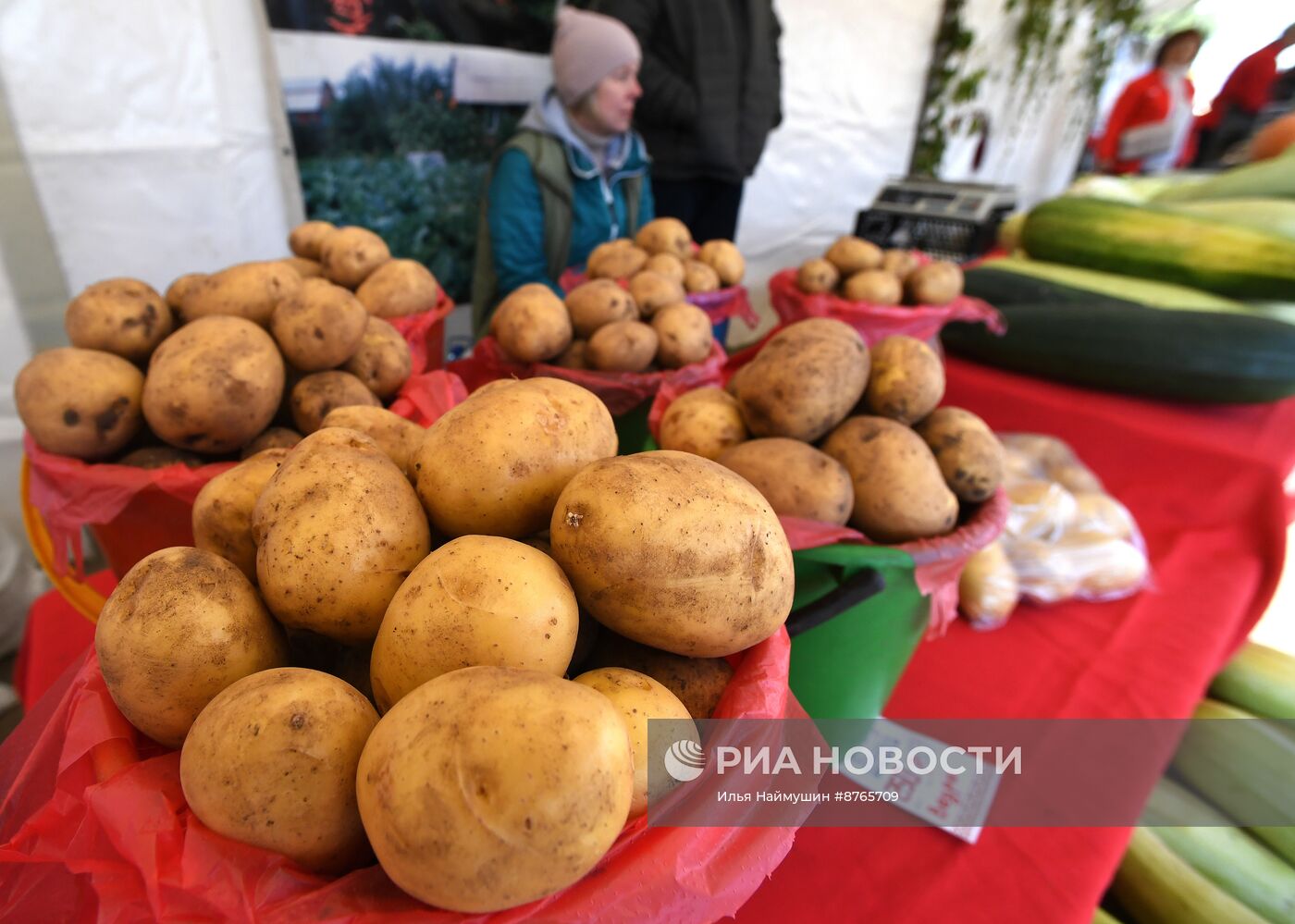 Продовольственная ярмарка в Красноярске