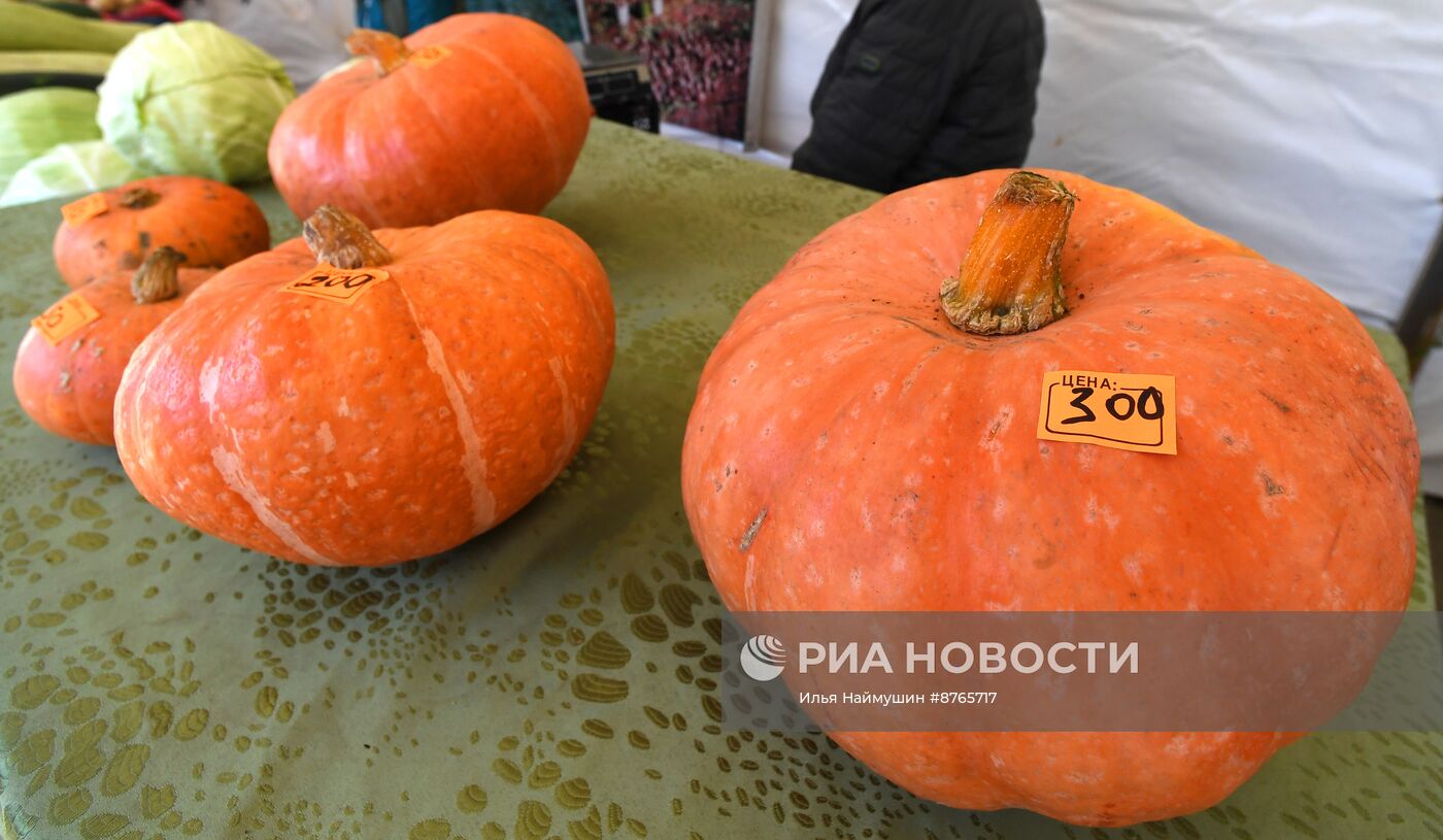 Продовольственная ярмарка в Красноярске