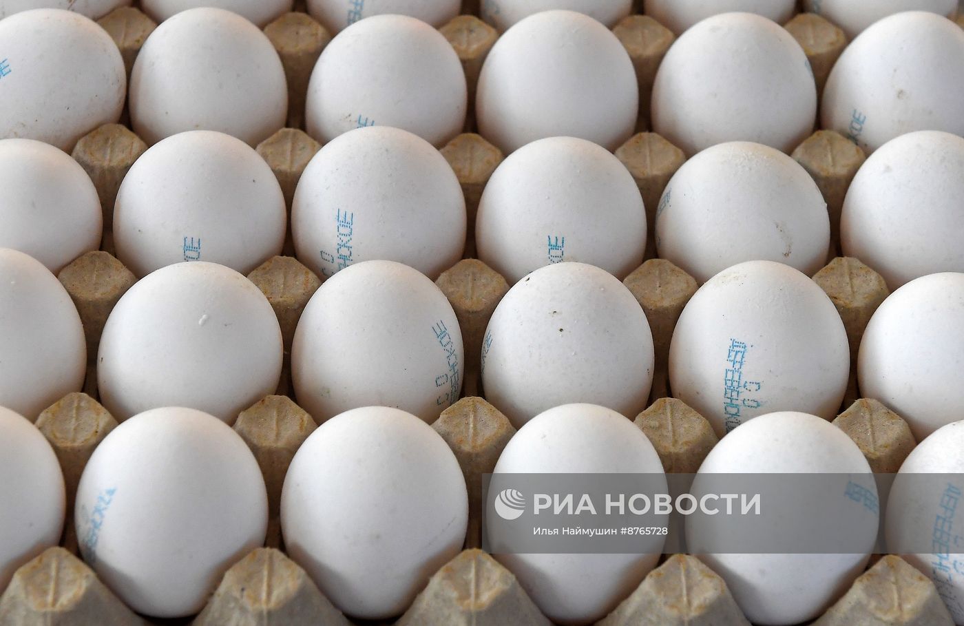 Продовольственная ярмарка в Красноярске