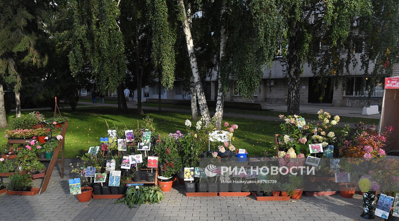 Продовольственная ярмарка в Красноярске