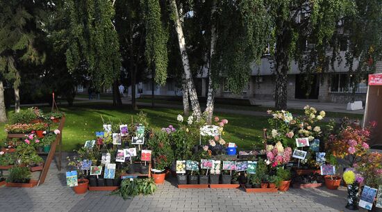 Продовольственная ярмарка в Красноярске