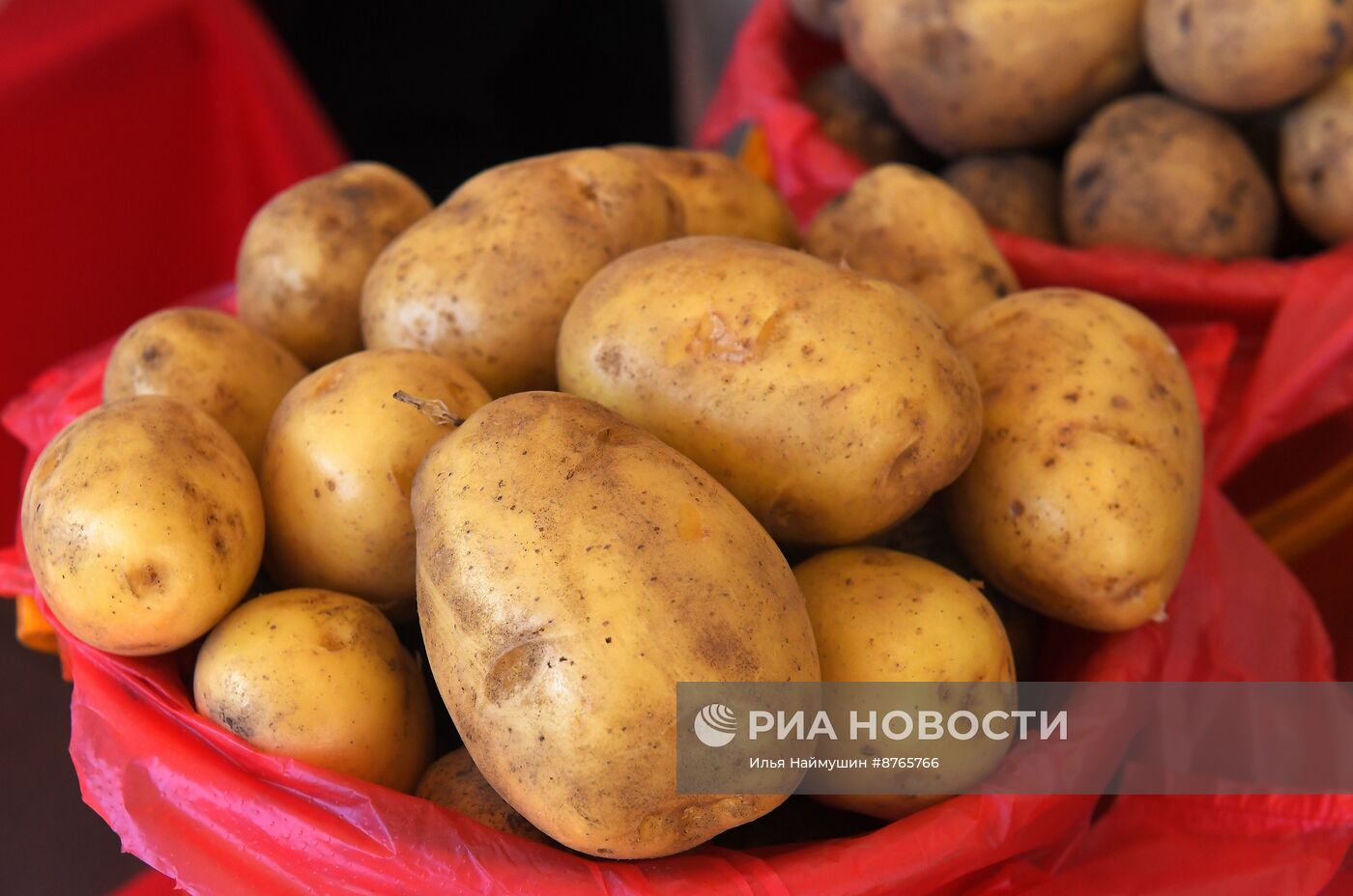 Продовольственная ярмарка в Красноярске