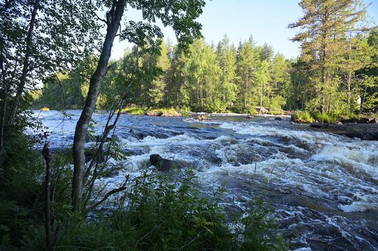 Туристический сплав по реке в Карелии