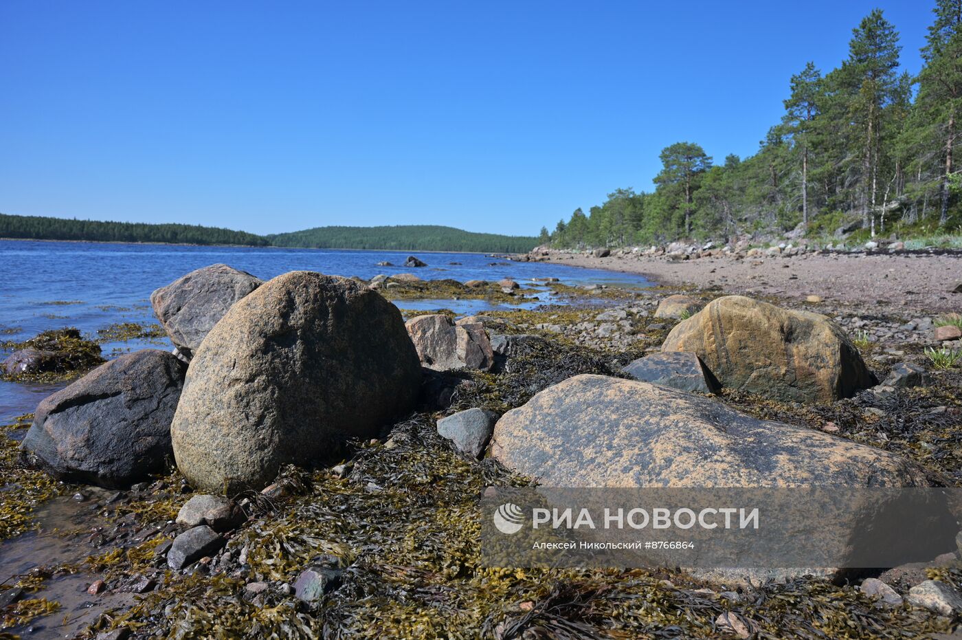 Туристический сплав по реке в Карелии