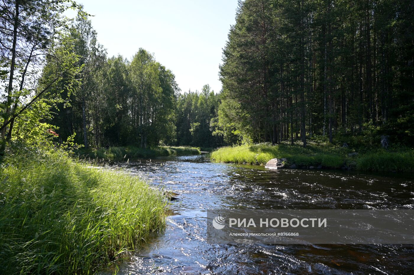 Туристический сплав по реке в Карелии