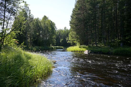 Туристический сплав по реке в Карелии