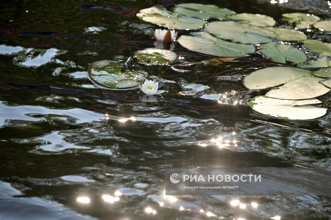 Туристический сплав по реке в Карелии
