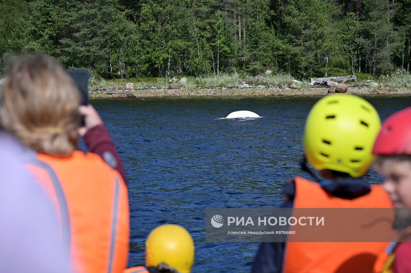 Туристический сплав по реке в Карелии