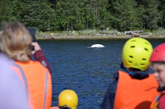 Туристический сплав по реке в Карелии