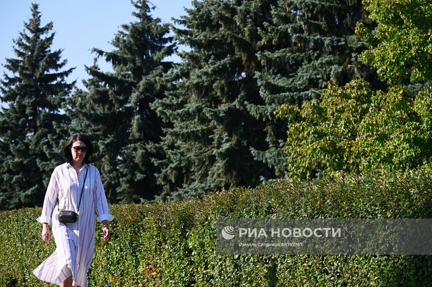Теплая погода в Москве 