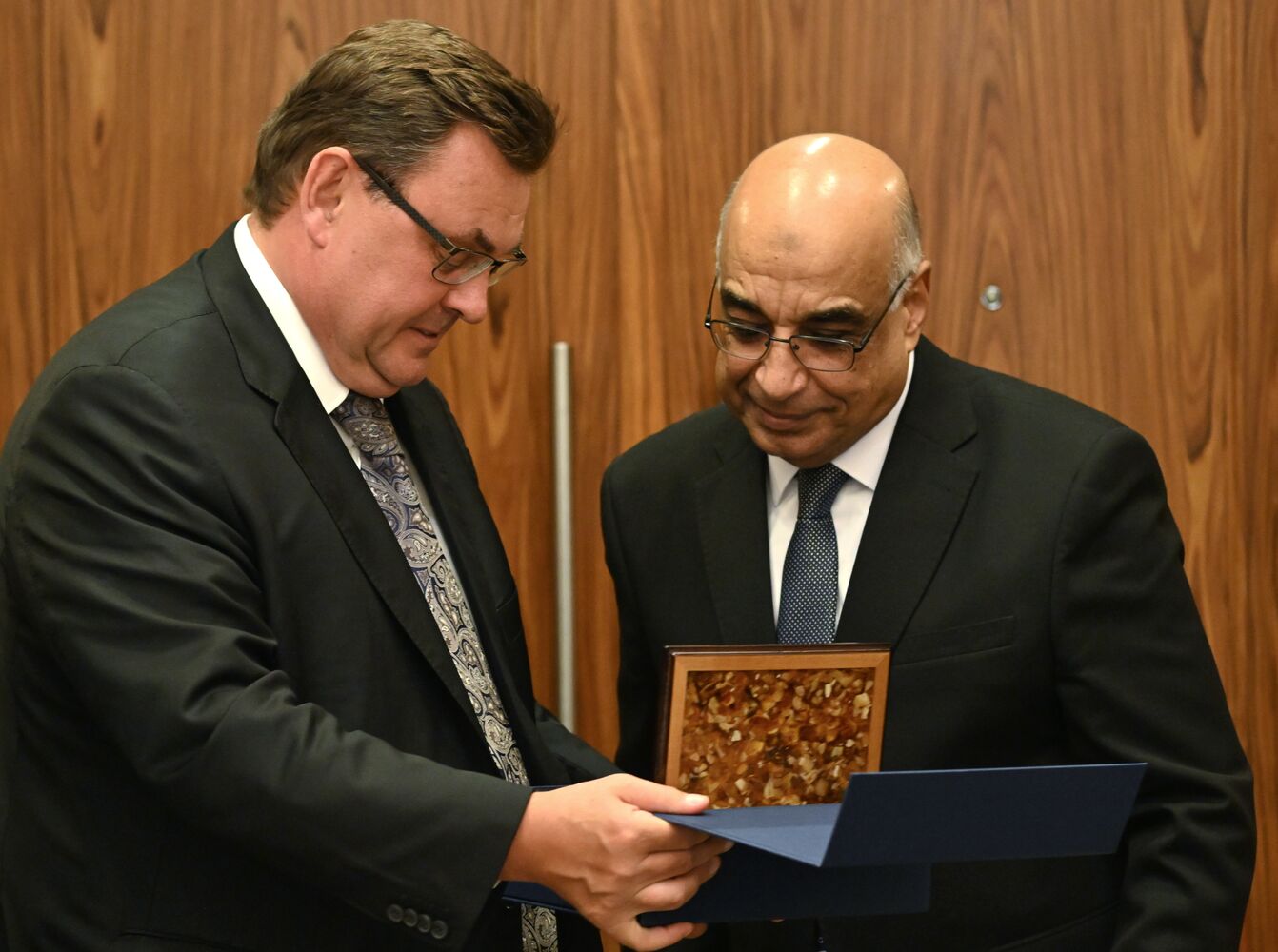 Двусторонние встречи министров юстиции стран БРИКС 