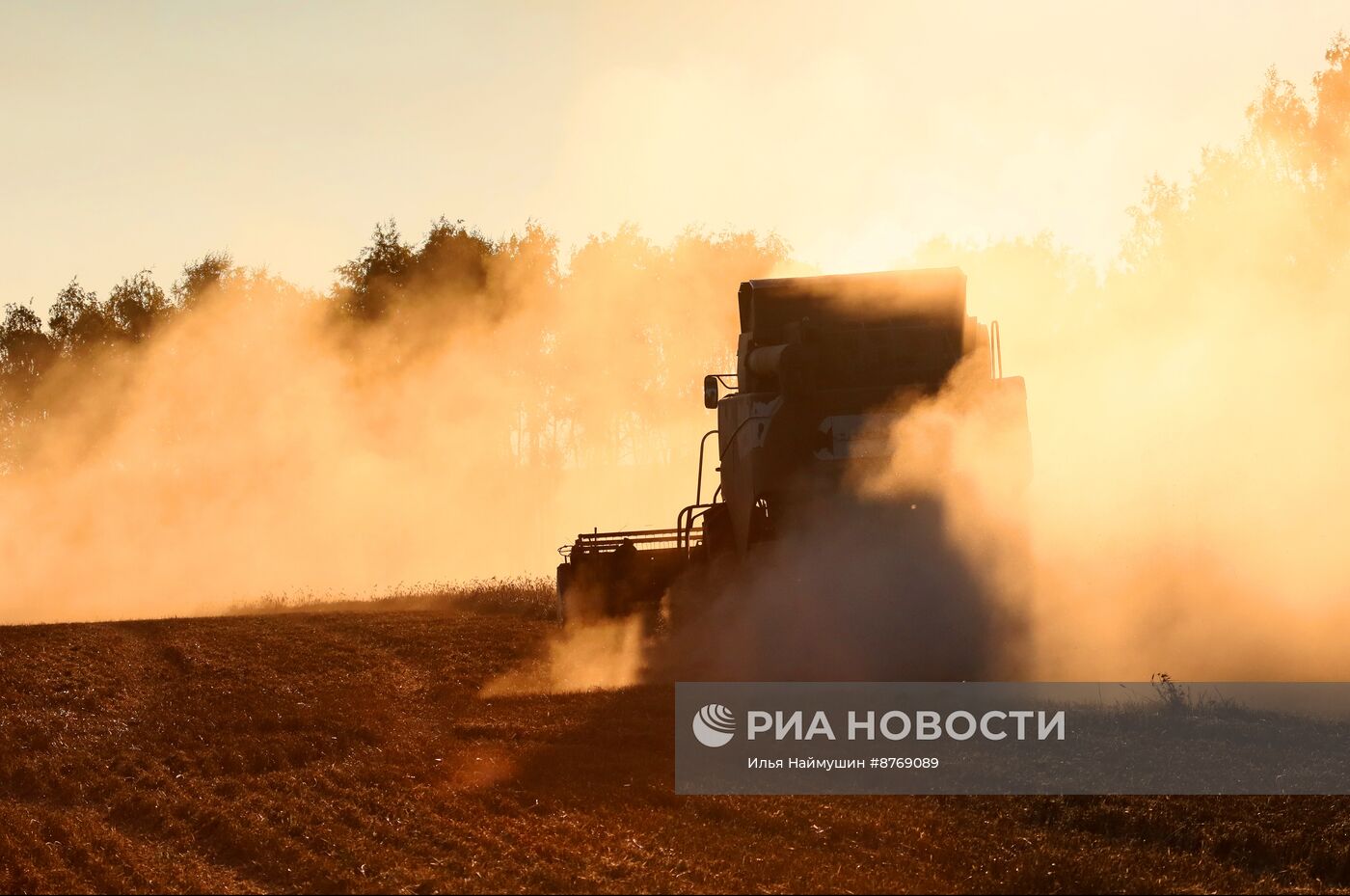 Сбор урожая пшеницы в Красноярском крае