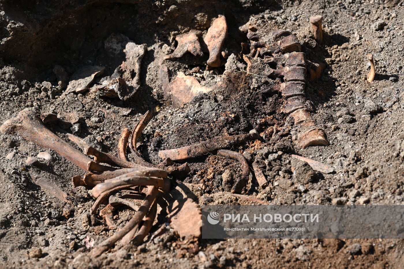 Эксгумация останков мирных жителей, убитых немецкими солдатами в 1941 году