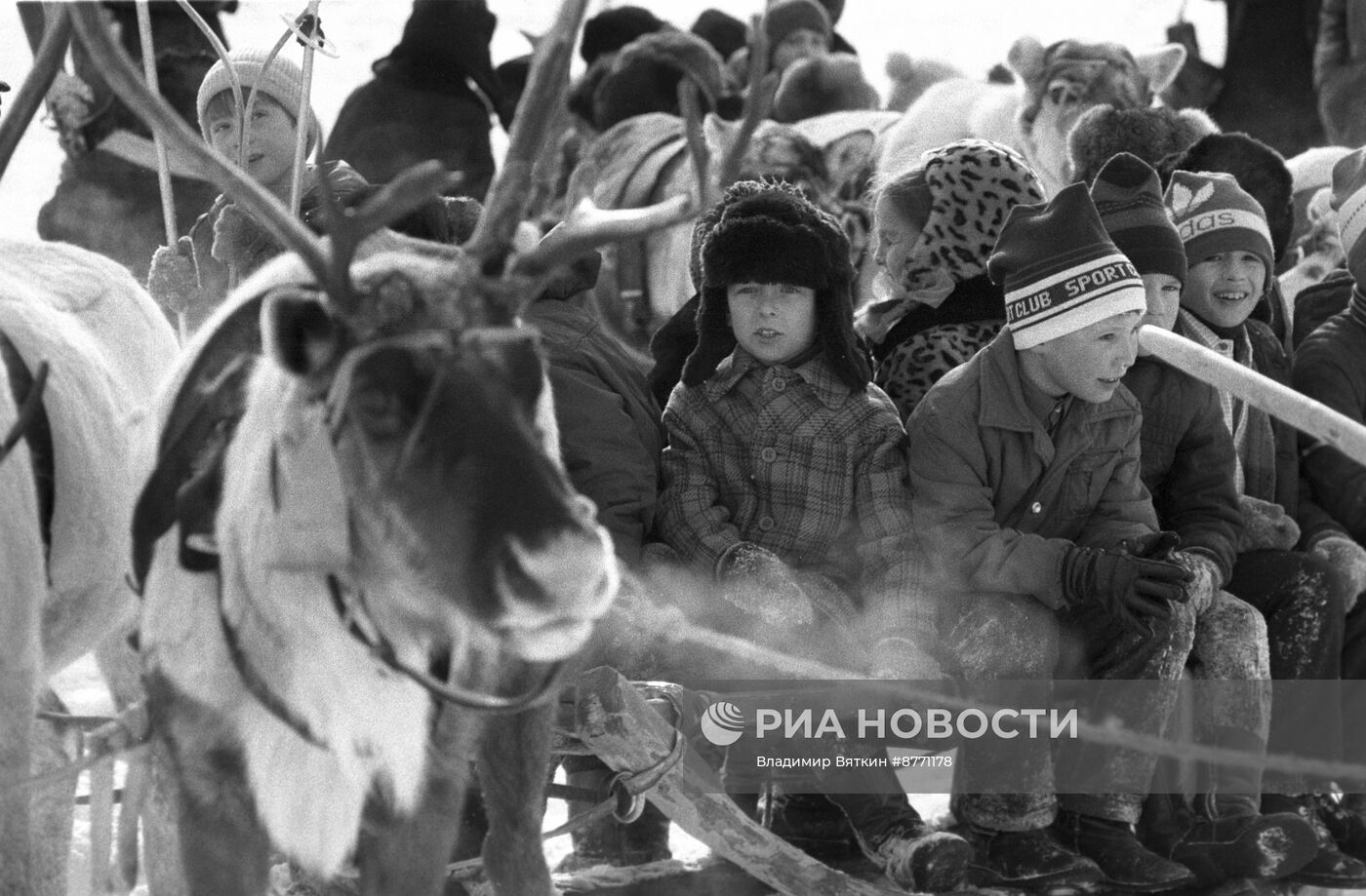 Праздник Севера