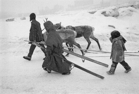 Праздник Севера