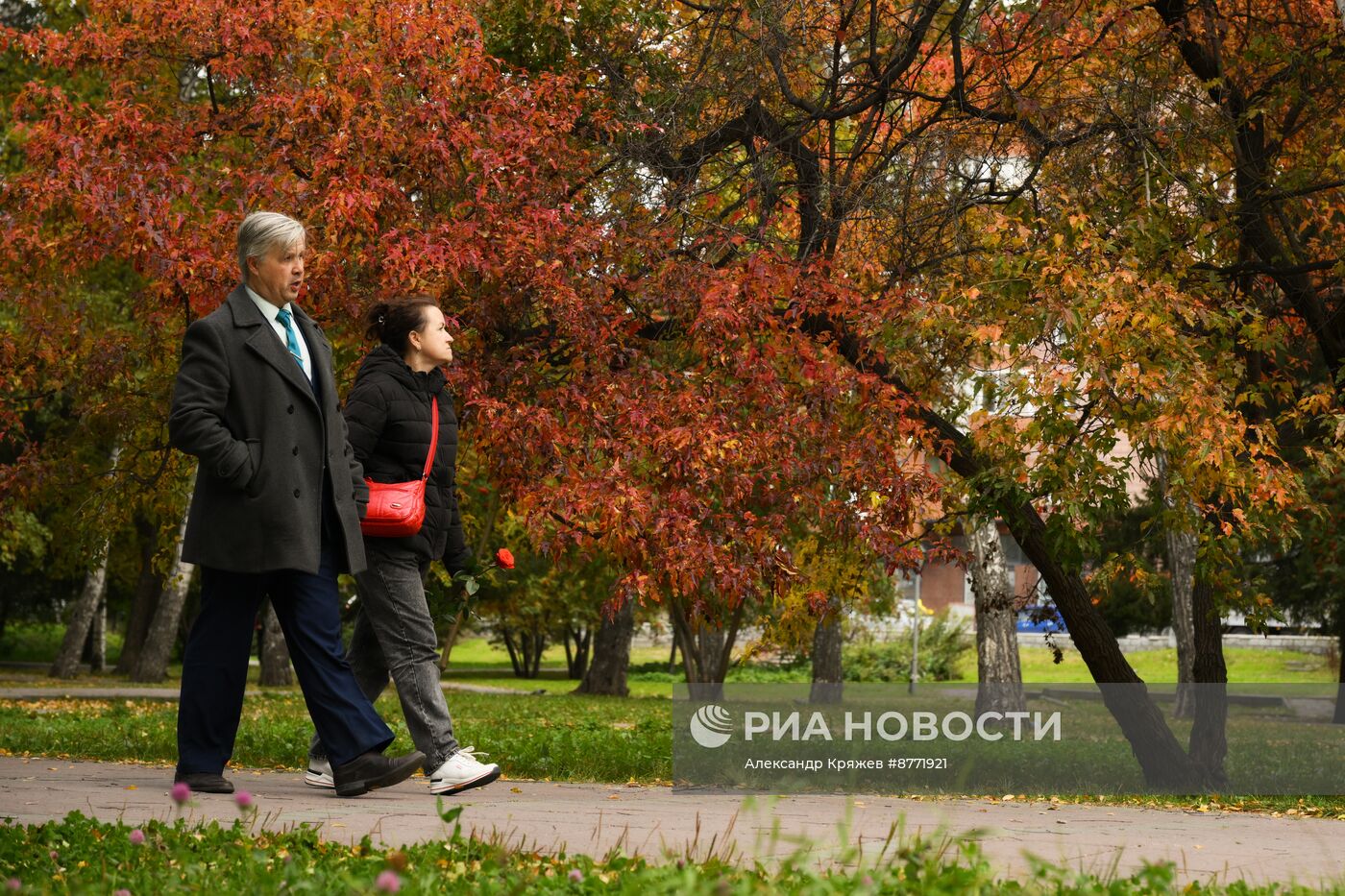 Осень в Новосибирске