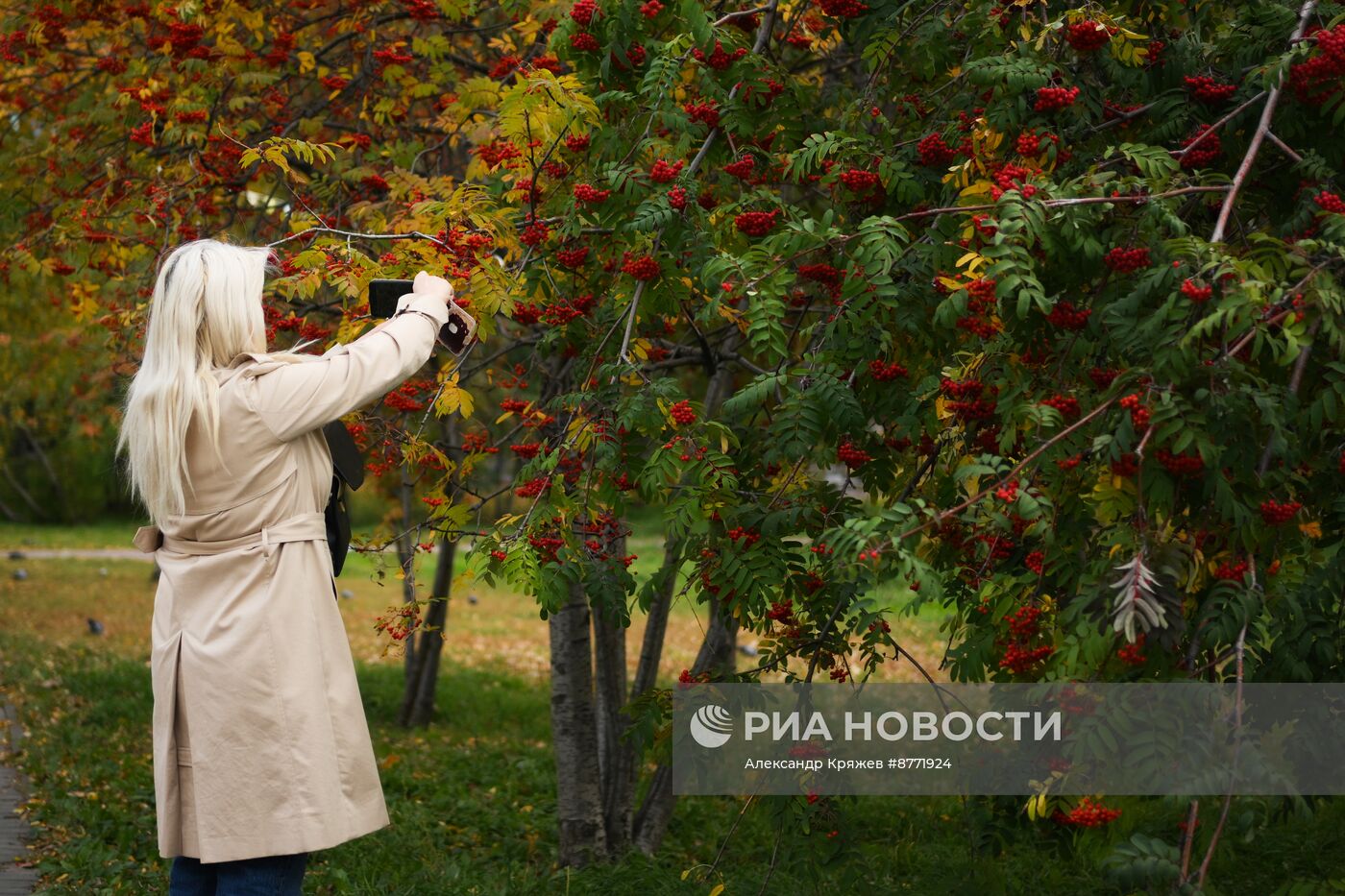 Осень в Новосибирске