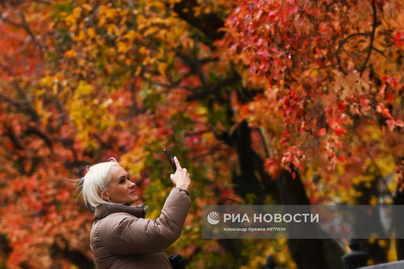 Осень в Новосибирске