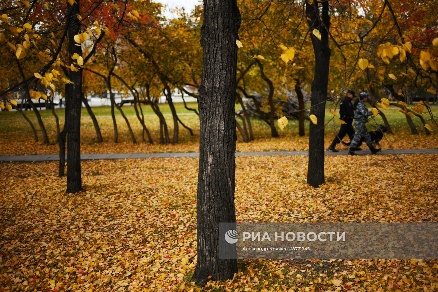 Осень в Новосибирске