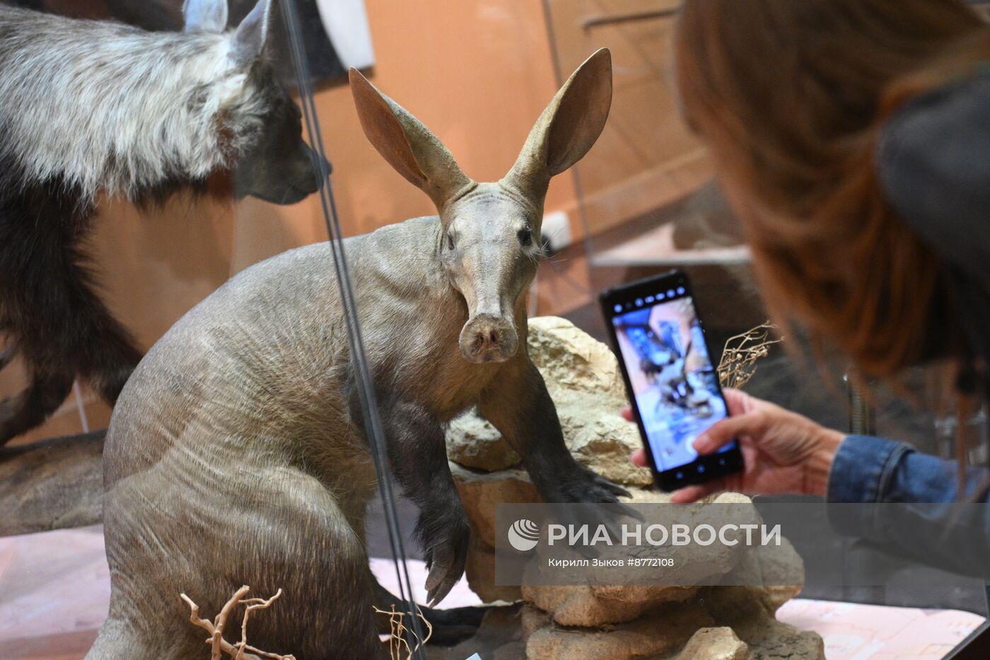 Выставка "Дары музею"к 117-летию Дарвиновского музея 